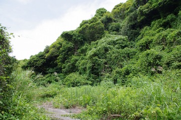 IMGP7736