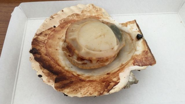 20190922秋の食欲-7