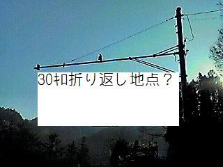 17160ccab1d42b10d73a-L
