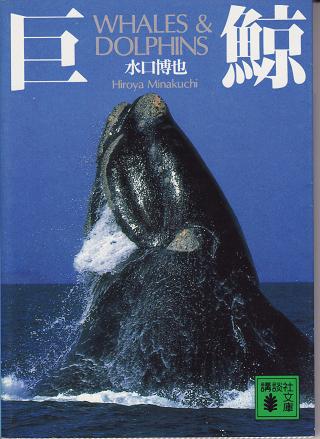 巨鯨