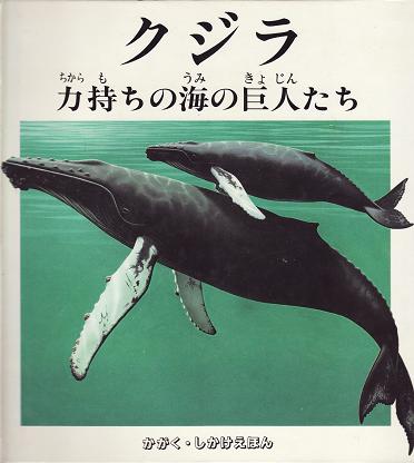 クジラ