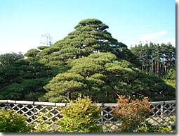 maizuru2