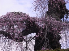 R0010032