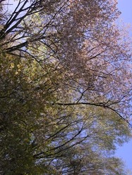R0012805