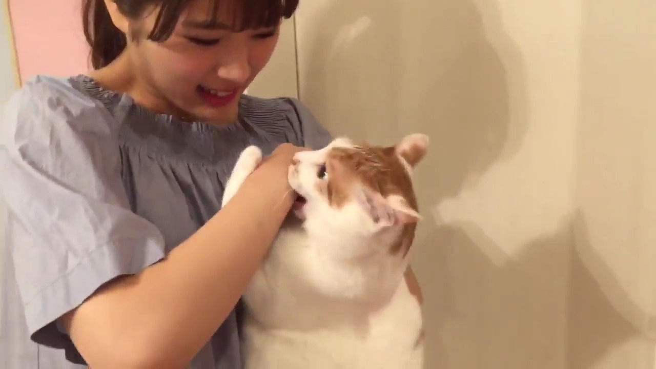 ~} MOTI..op.. Part150 [f]ڋ֎~]©2ch.net	YouTube>9{ ->摜>109 
