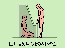 本文とは全く関係のない画像です。