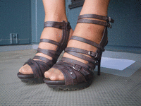 ���󥯥�����ԥ�ҡ��륵�����(1)