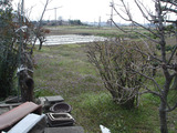 DSC02639