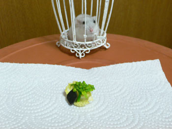 お豆腐