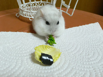 お豆腐