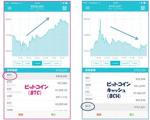 コインチェック1118