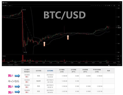 bitbank311