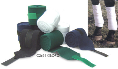 C2631large