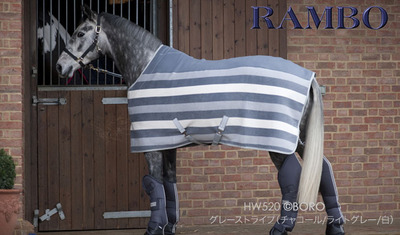HW520large_new
