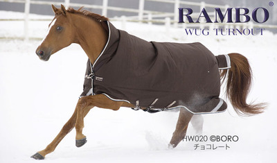 HW020large