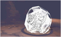 img_new_31_cap_05
