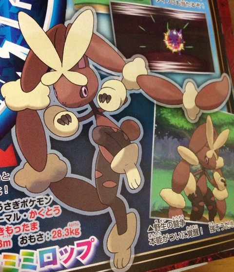 corocoro9142