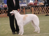 RIMG0033