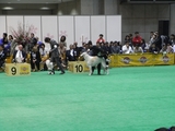 RIMG0096