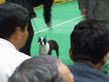 RIMG0091