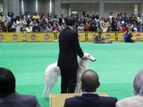 RIMG0098