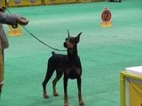 RIMG0083