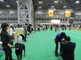 RIMG0057