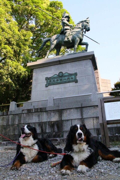 7516803216_IMG_2555