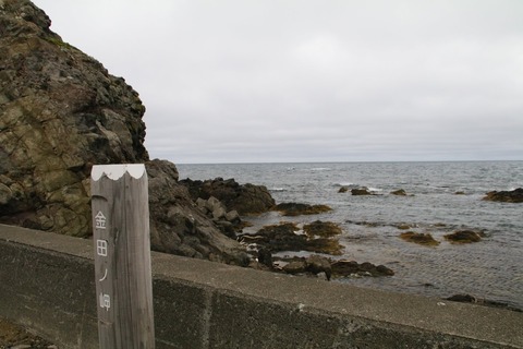 7594105120_IMG_3439
