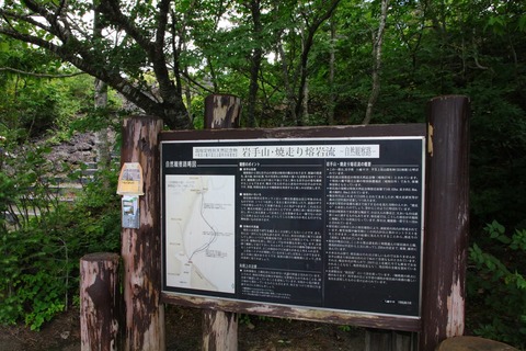 7591953248_IMG_3211