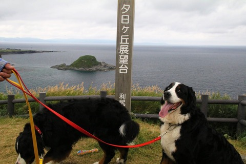 7527030144_IMG_3359