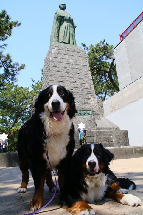 7516803216_IMG_2592