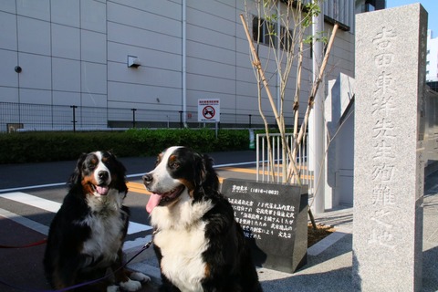 7516803216_IMG_2550