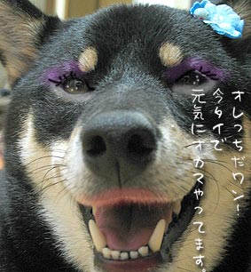 シャチョサン!エロティックネー!