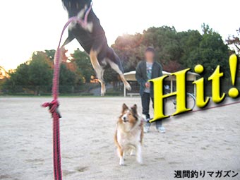 ボシ魚ヒット!