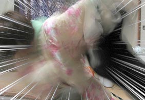 ボッチコック「犬」