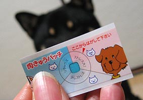 う、後ろに見えます!平安京の霊が!