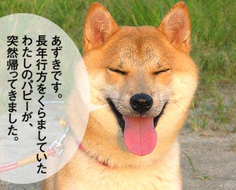 小豆です。ラージヒルだった鼻が目立たなくなりました。