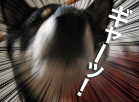 アホウ浪士討ち入りイメージ図