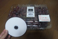 budou