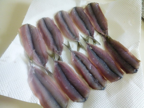 P1000970