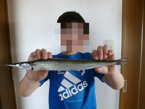 BlogPaint