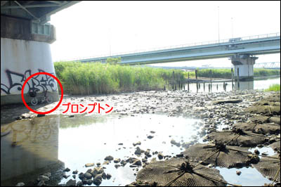 180727-ハゼ釣り2018_荒川四ツ木橋011
