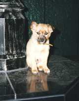 boss_3rd