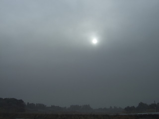 DSCF2976-1