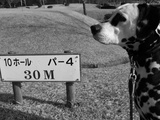四コマ05
