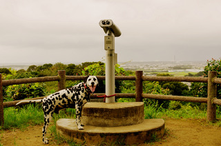 IMGP0013