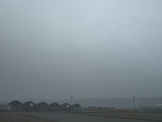 DSCF2978