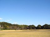 凧揚げ