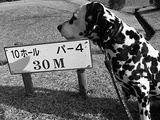 四コマ02